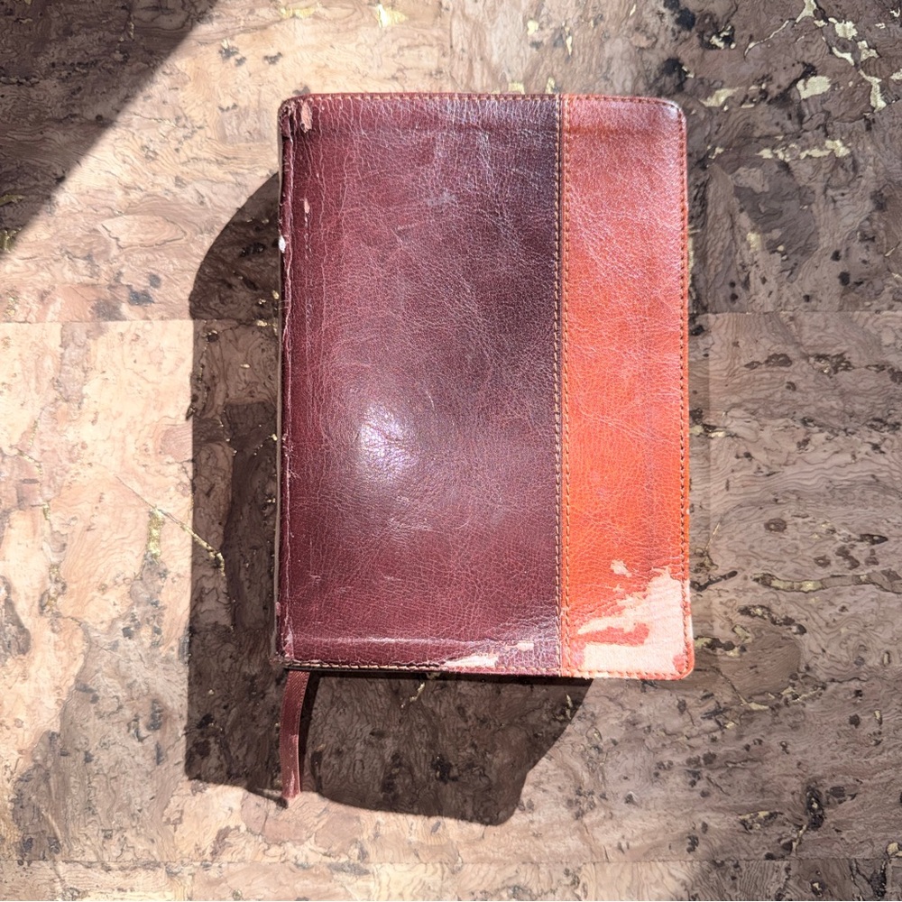 Two-Tone New Testament Bible